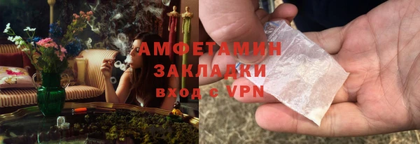 ПСИЛОЦИБИНОВЫЕ ГРИБЫ Няндома