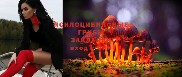 экстази Осинники