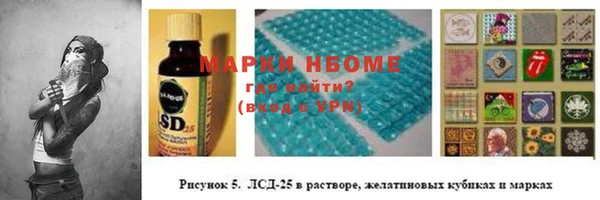 ПСИЛОЦИБИНОВЫЕ ГРИБЫ Няндома