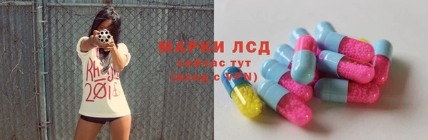 ПСИЛОЦИБИНОВЫЕ ГРИБЫ Няндома