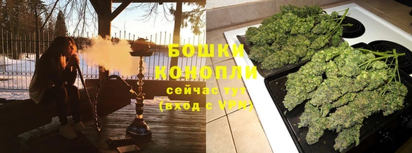 твердый Нягань