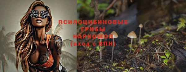 не бодяженный Осташков