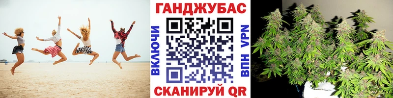 сколько стоит  Тара  Бошки марихуана White Widow 