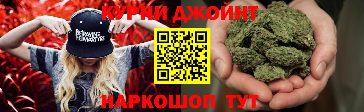 Бошки Шишки план Тара