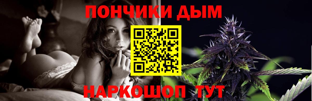 Каннабис план  Бошки марихуана планчик  МАРИХУАНА гибрид  Вход с VPN  Тара 